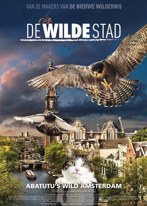 De-Wilde-Stad