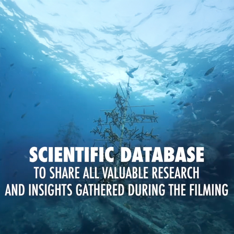 A Scientific database